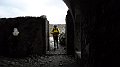 SAM_0329