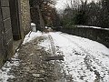 SDC10032