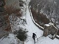DSC05822