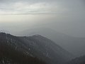 DSC05829