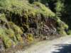 dsc05145_small.jpg
