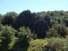dsc05146_small.jpg