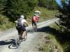 dsc05147_small.jpg