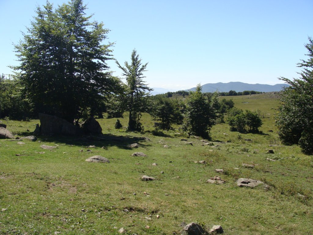 dsc05152.jpg