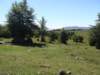 dsc05152_small.jpg
