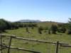 dsc05156_small.jpg