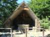 dsc05169_small.jpg