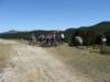 dsc05171_small.jpg