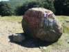 dsc05174_small.jpg