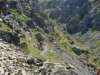 dsc05178_small.jpg