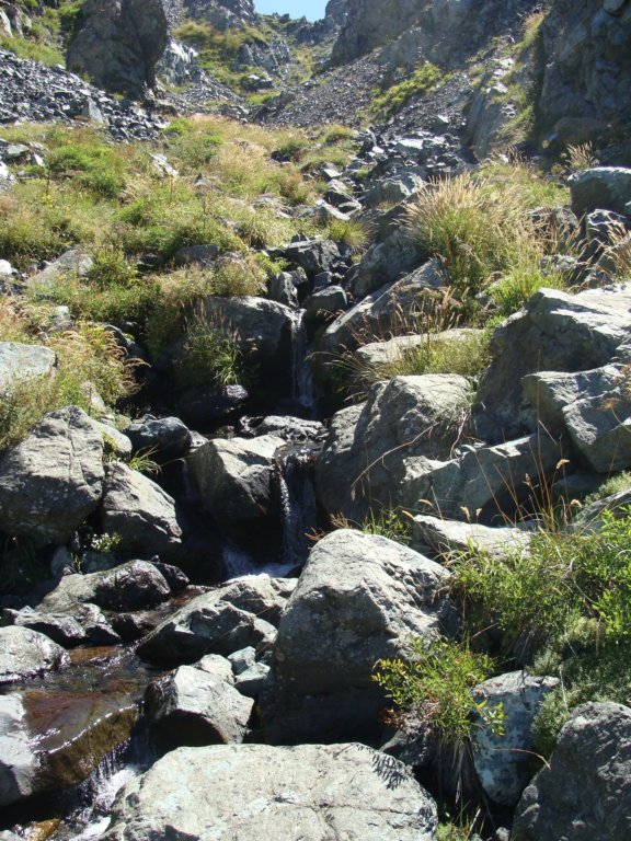 dsc05182.jpg