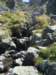 dsc05182_small.jpg