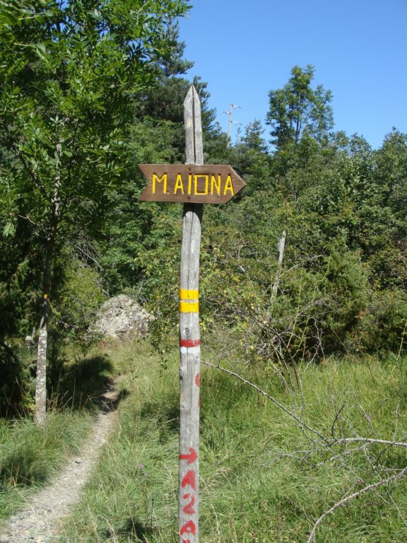 dsc05186.jpg