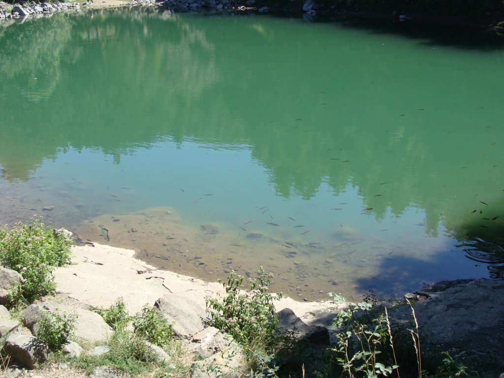 dsc05188.jpg