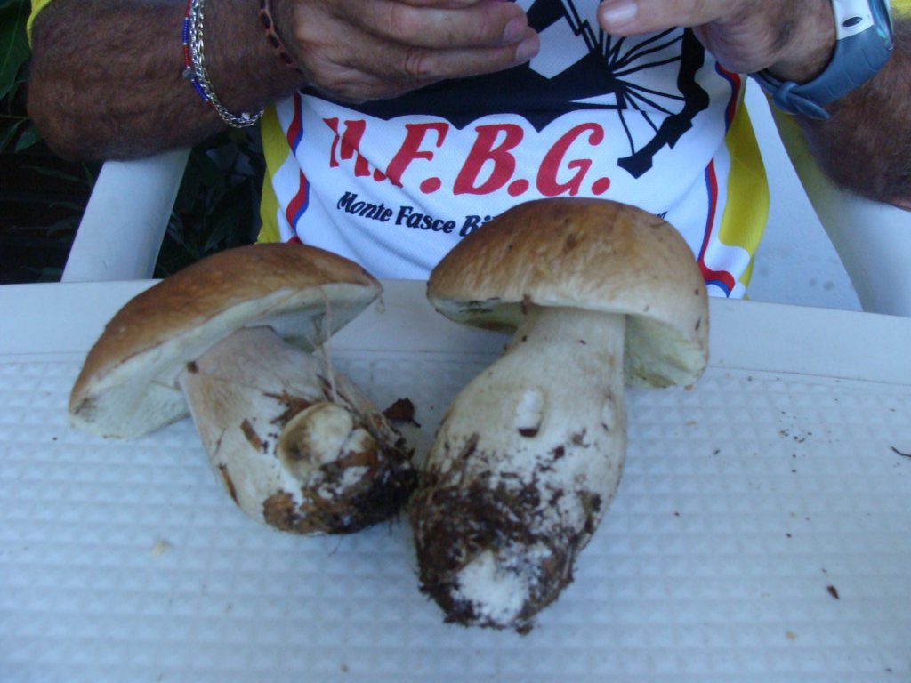 dsc05203.jpg