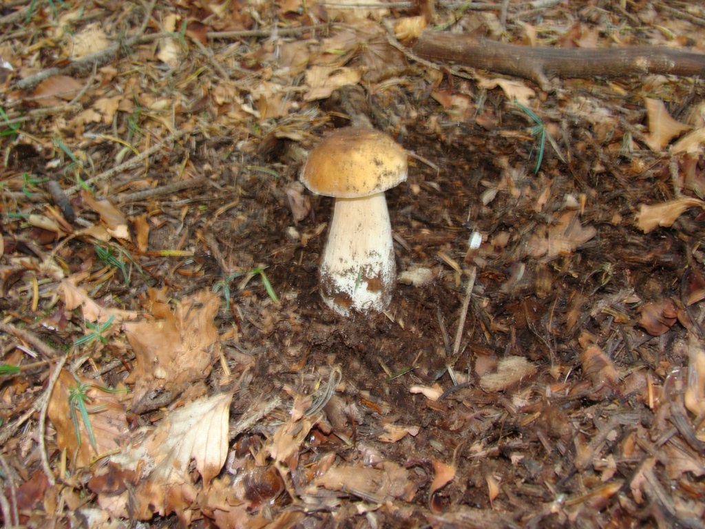 dsc05214.jpg