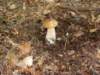 dsc05214_small.jpg
