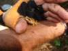 dsc05215_small.jpg