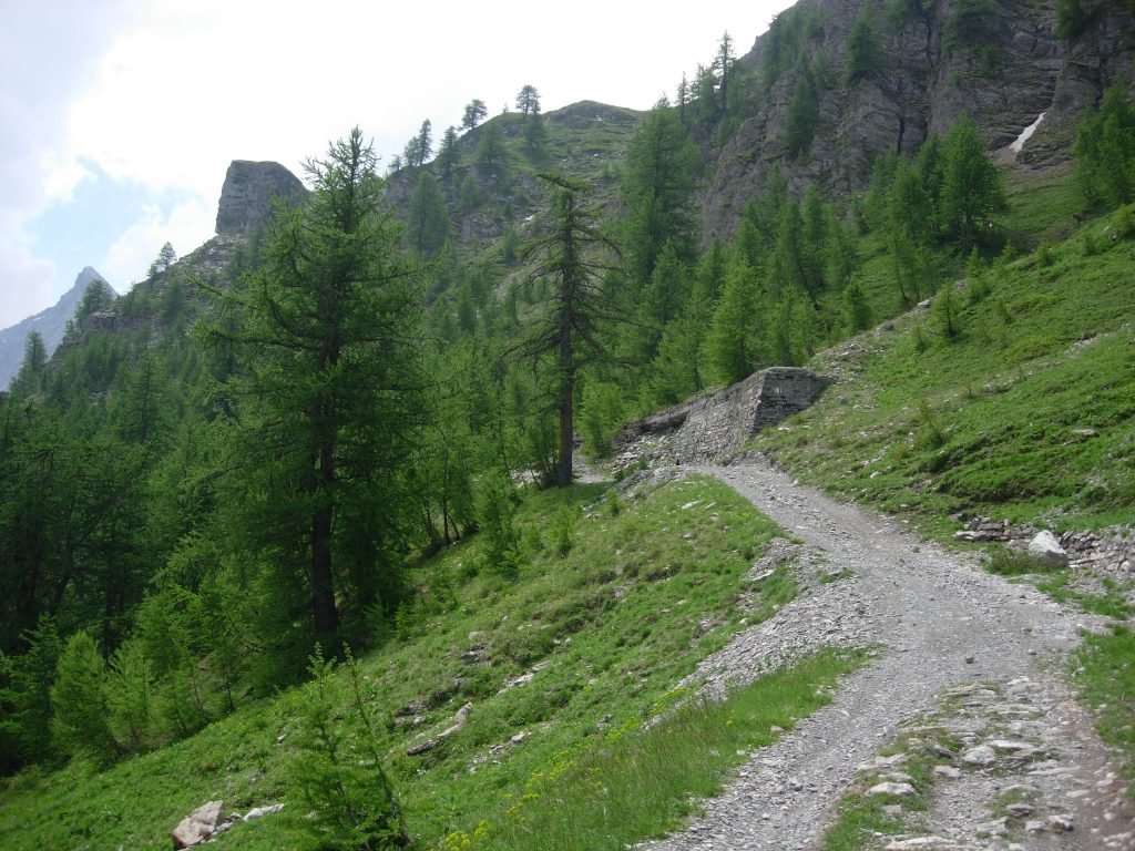 dscn4864.jpg