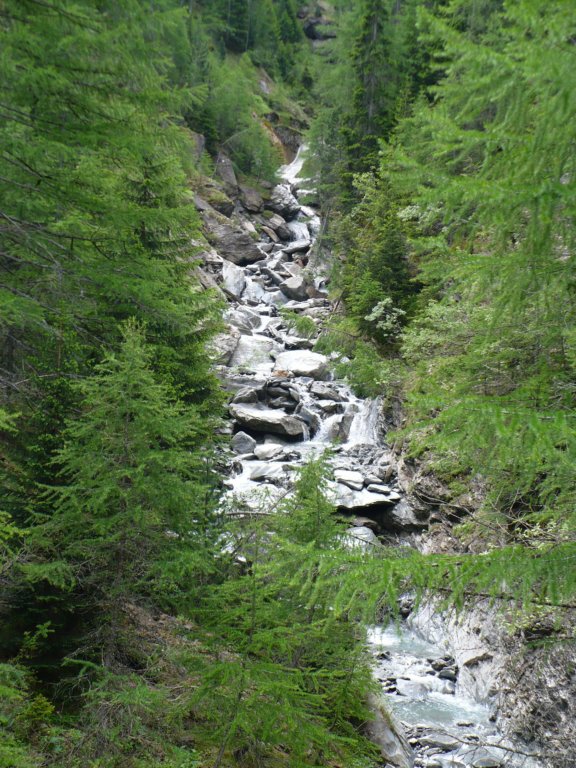 photo24.jpg