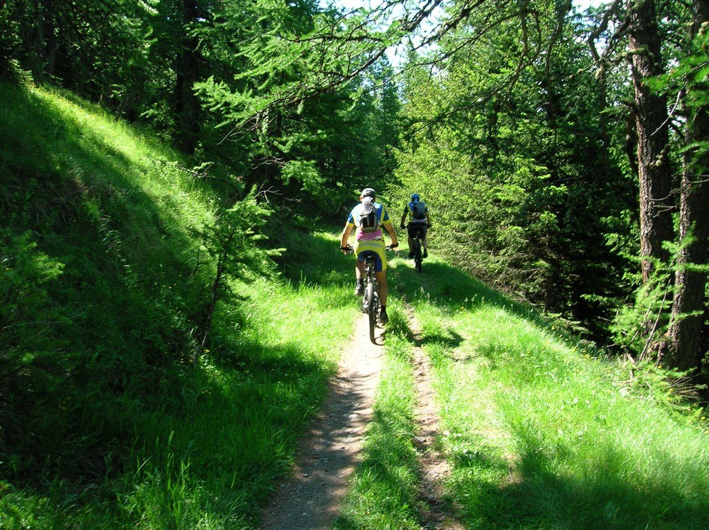 dscn5768.jpg