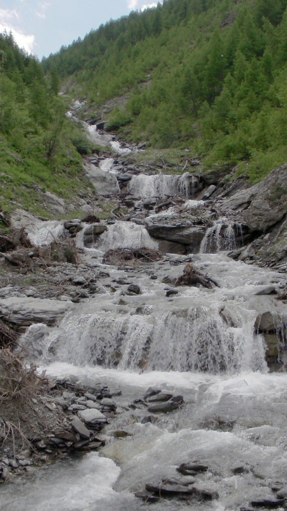 sany2133.jpg