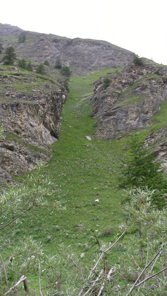 sany2251.jpg