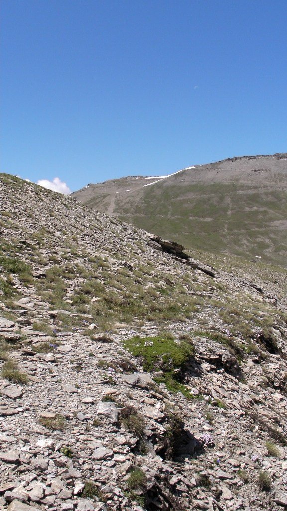 sany2326.jpg