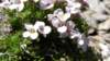 sany2329_small.jpg