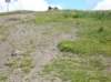 dscn1120_small.jpg