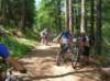 dscn1137_small.jpg