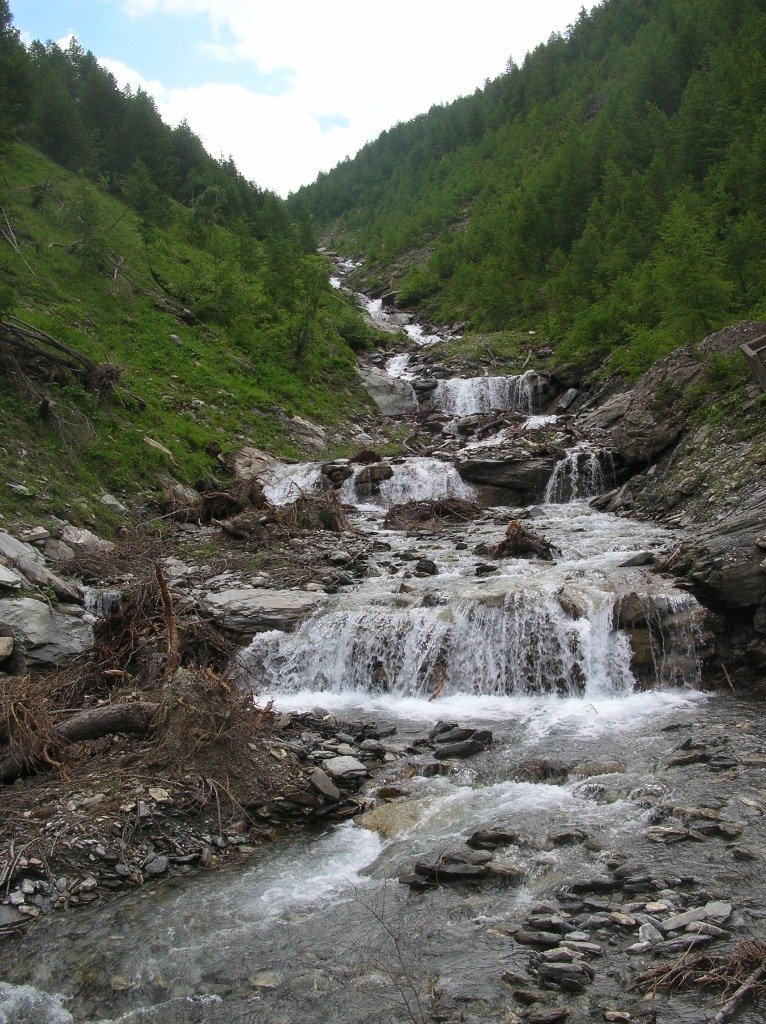 dscn1142.jpg