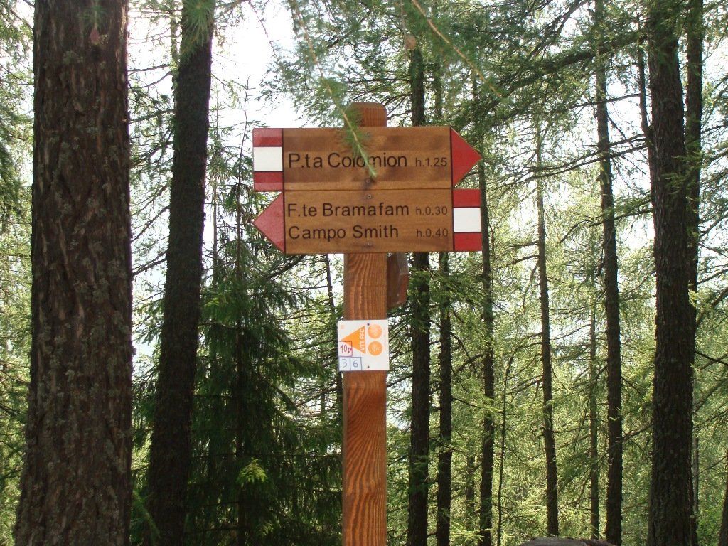 dsc04643.jpg
