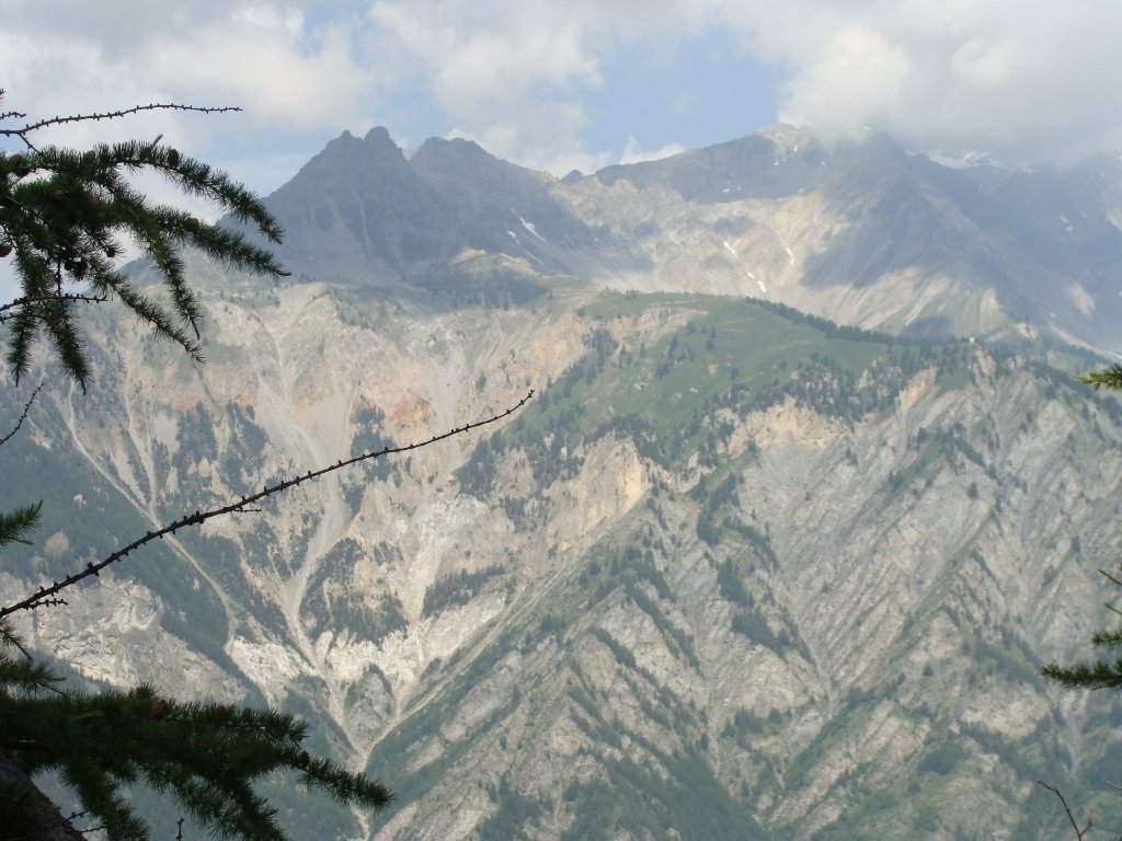 dsc04649.jpg