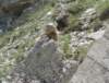 dsc04666_small.jpg