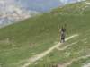 dsc04671_small.jpg