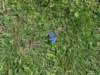 dsc04678_small.jpg