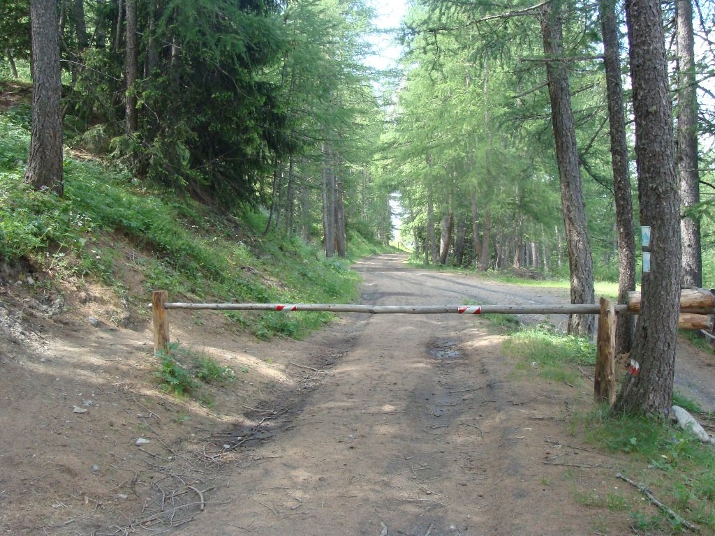 dsc04740.jpg