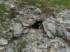 dsc04773_small.jpg