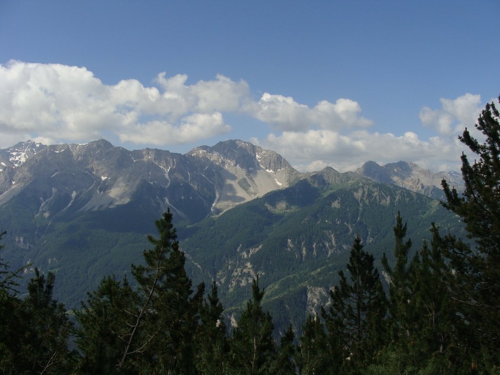 dsc04804.jpg