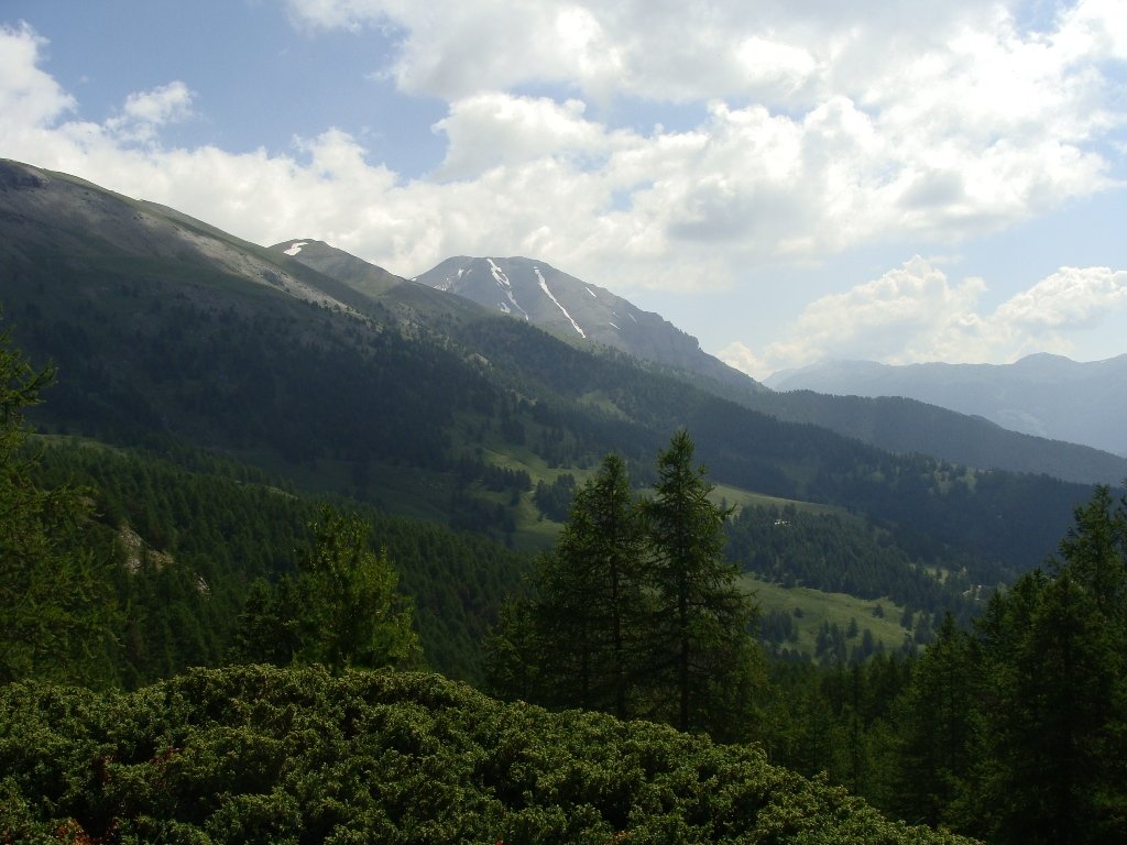 dsc04820.jpg