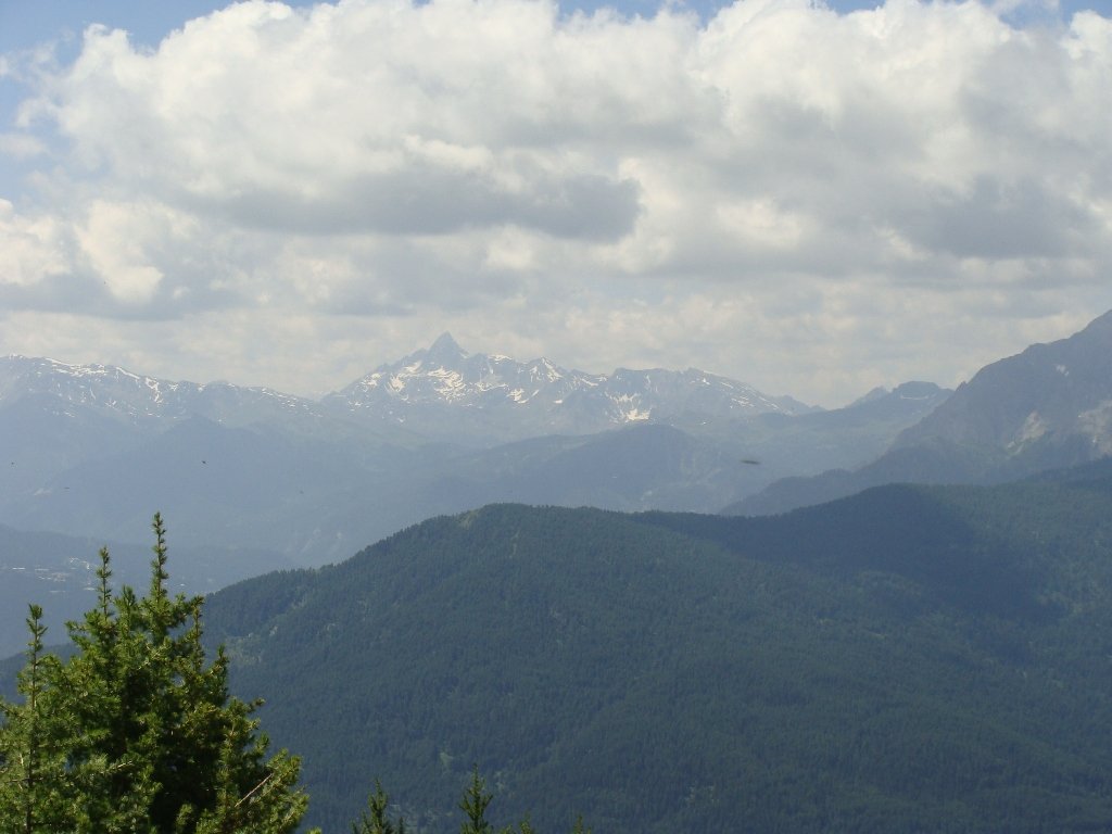 dsc04825.jpg