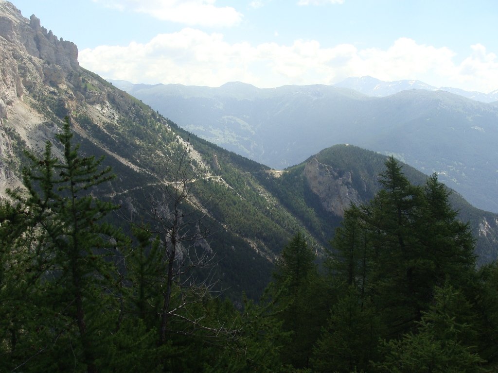 dsc04827.jpg