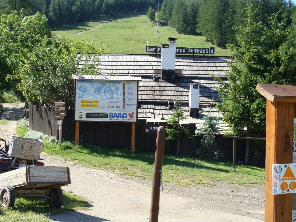dsc04991.jpg