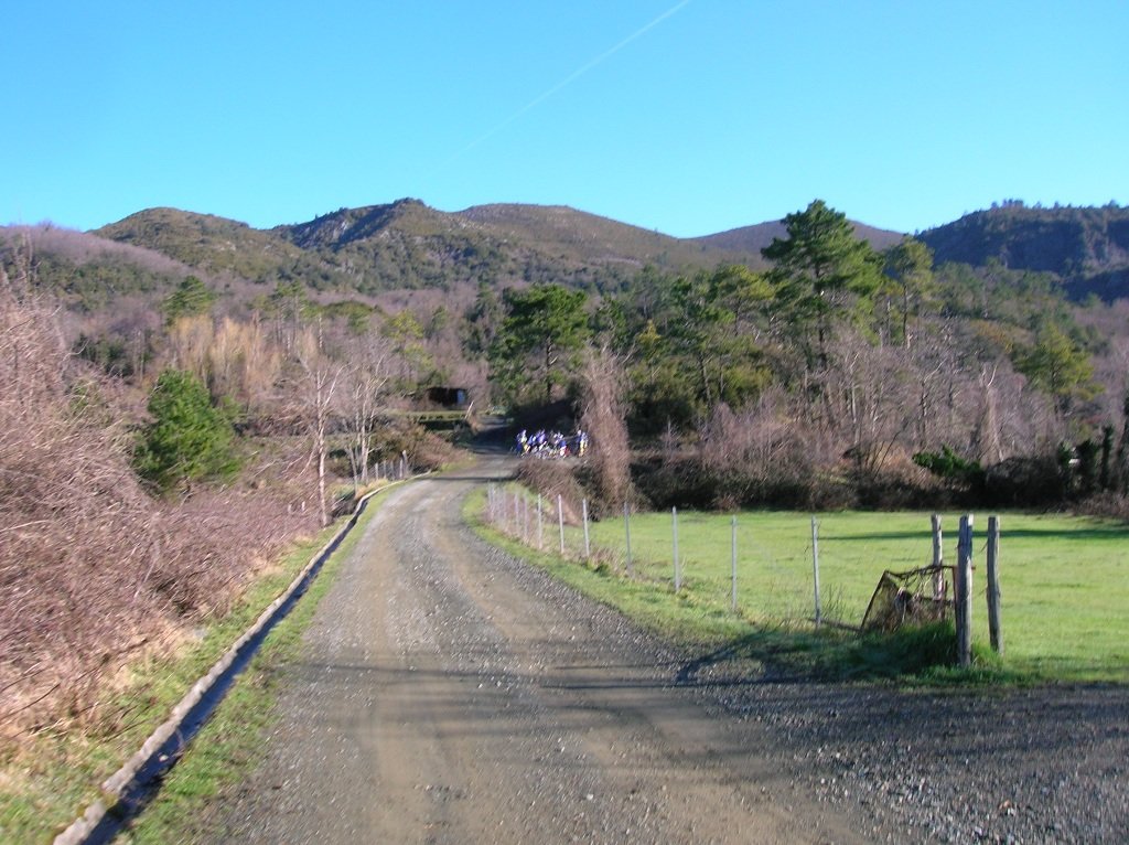 bargone004.jpg