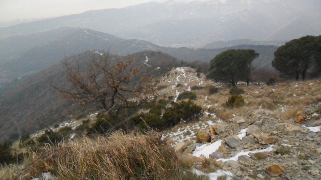 sam_0307.jpg