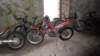sam_0339_small.jpg