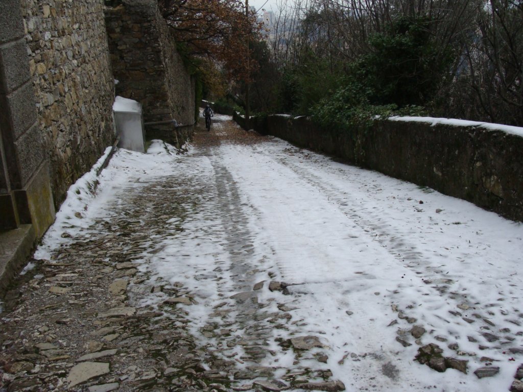 dsc05810.jpg