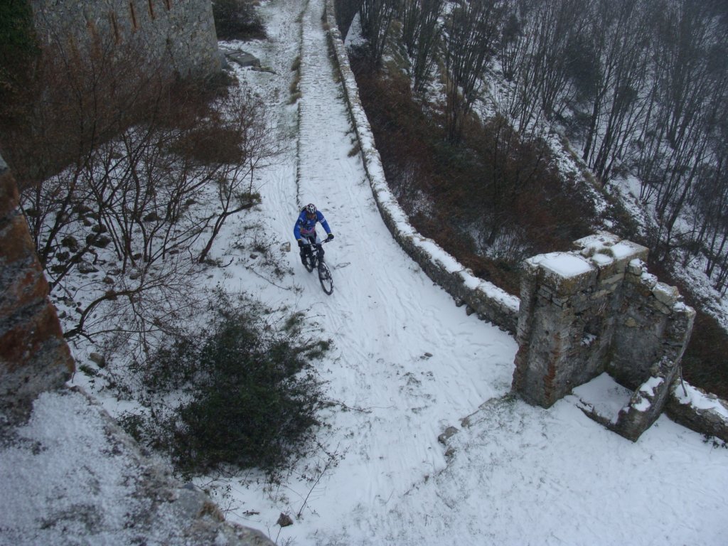 dsc05825.jpg