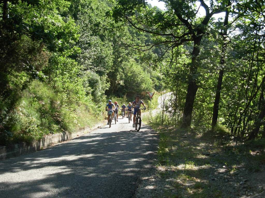 dscn0009.jpg